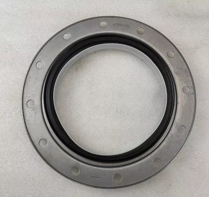 3883620 oil seal/sealing
