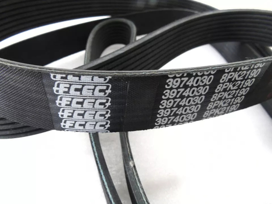 Belt 3974030