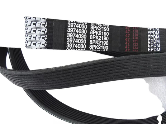 Belt 3974030